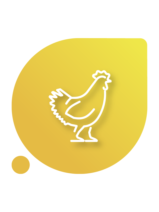 Probiotics for poultry