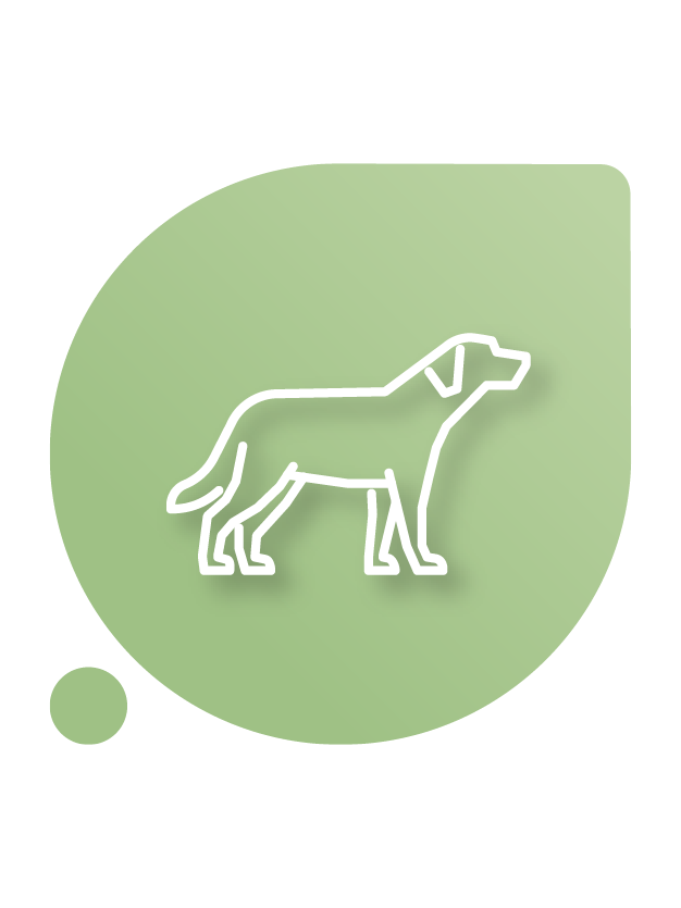 Probiotics for cats and dogs